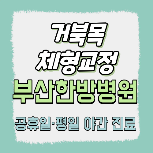 거북목·체형 교정