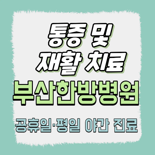통증 및 재활 치료